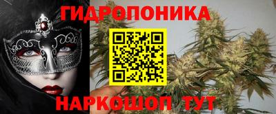 бошки Кинель