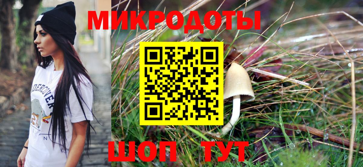 ГАШ Красный Сулин