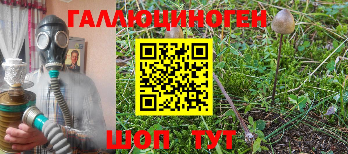 Псилоцибиновые грибы прущие грибы Красный Сулин
