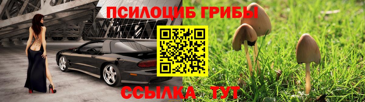 Красный Сулин  Галлюциногенные грибы MAGIC MUSHROOMS  Вход с VPN  Псилоцибиновые грибы мицелий 