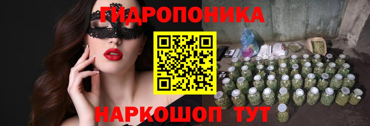 Красный Сулин  Каннабис сатива  Вход с VPN  Бошки Шишки AK-47 